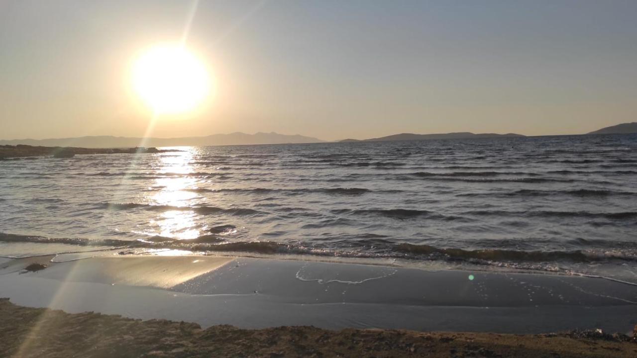 Cesme Burcu Sitesi Yaman Villa Exteriör bild